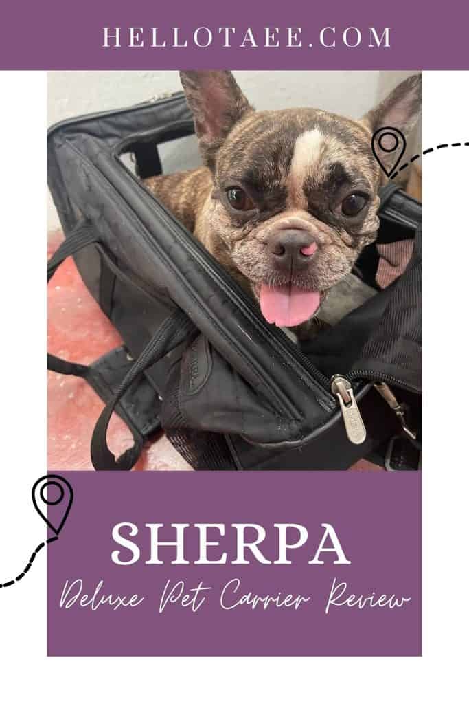Pin image for Sherpa Original Deluxe Pet Carrier review featuring cute lil' Winnie