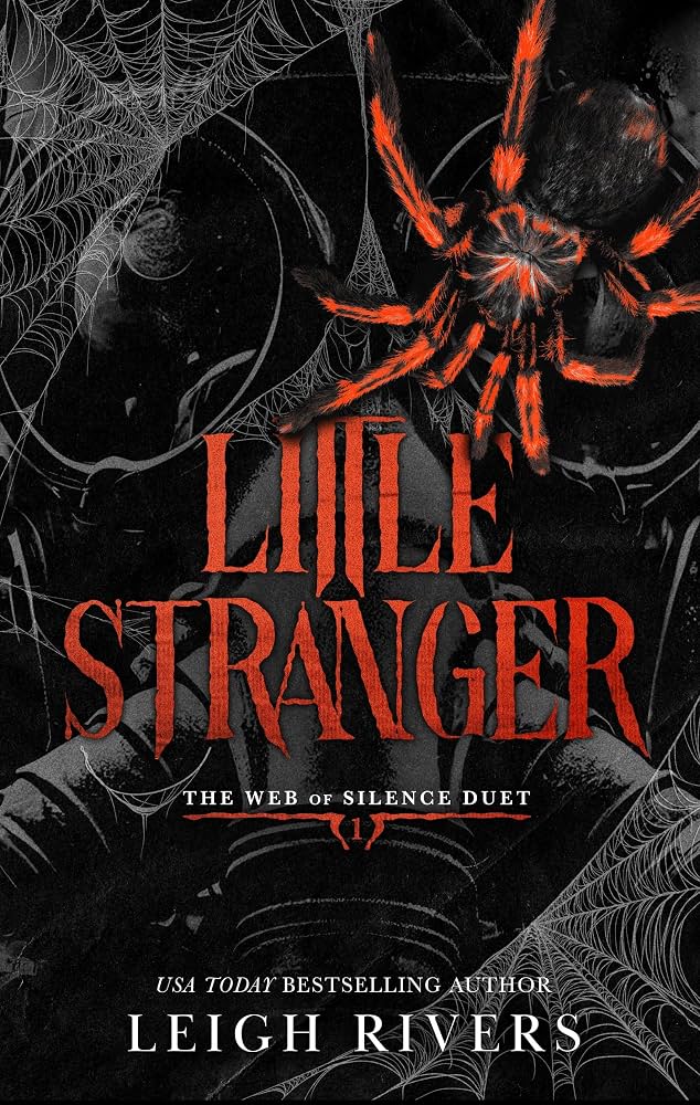 Cover image for Little Stranger by Leigh Rivers