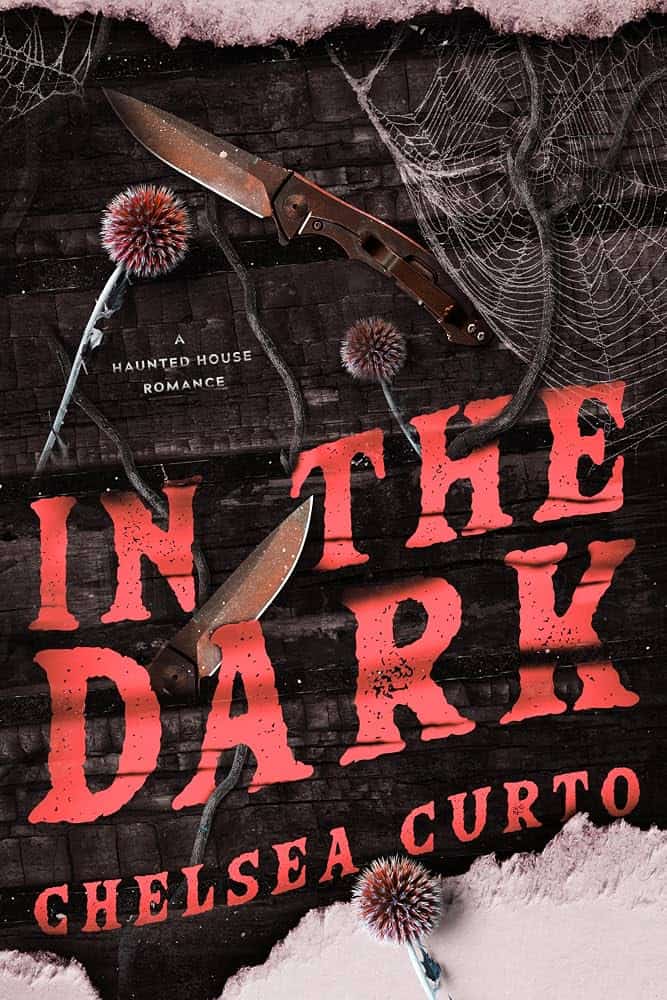 Cover image for In the Dark — Chelsea Curto.